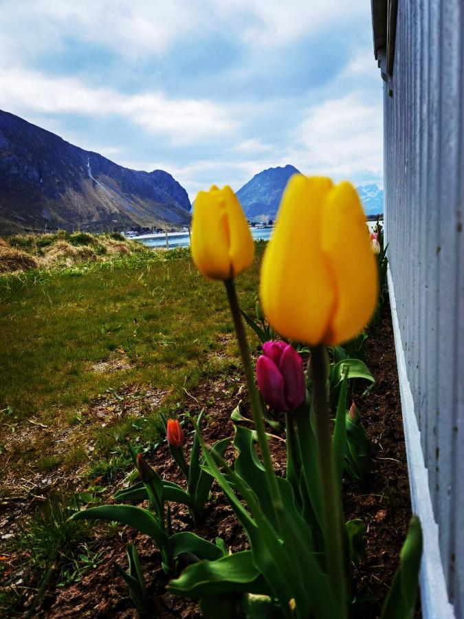 Banpim Beachside Lofoten Рамберг Екстериор снимка