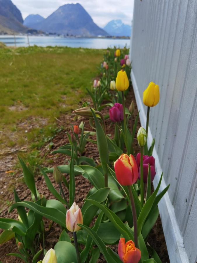 Banpim Beachside Lofoten Рамберг Екстериор снимка