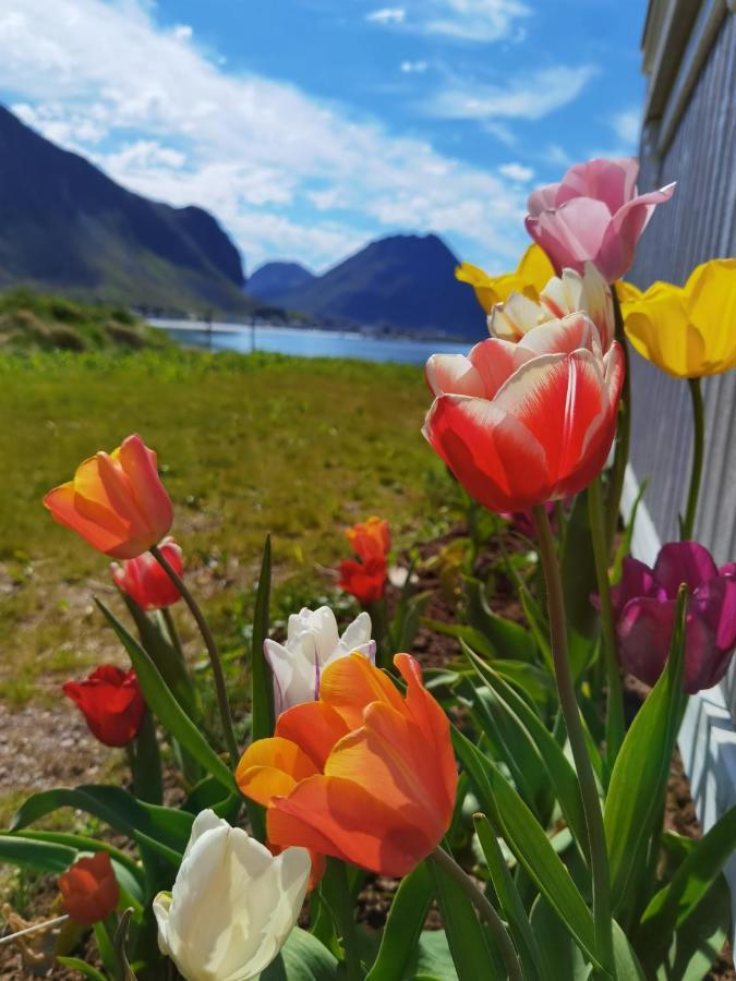 Banpim Beachside Lofoten Рамберг Екстериор снимка