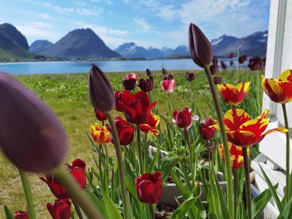 Banpim Beachside Lofoten Рамберг Екстериор снимка